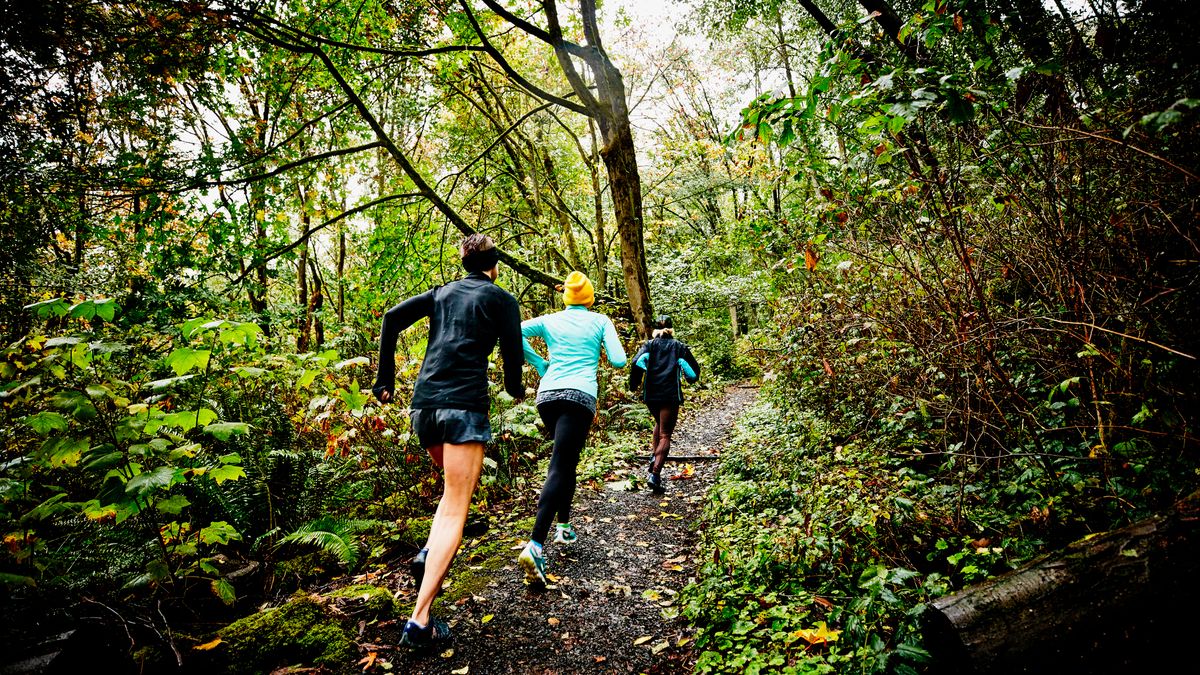 가을 시즌 러닝 코스 TOP 5추천 관련 사진