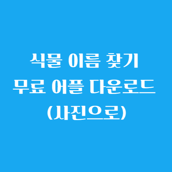 식물 이름 찾기 무료 어플 다운로드 (사진으로)