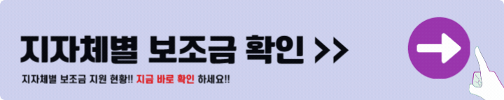 지자체별 보조금 확인