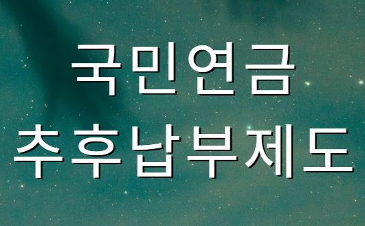 국민연금 추우납부제도 이미지