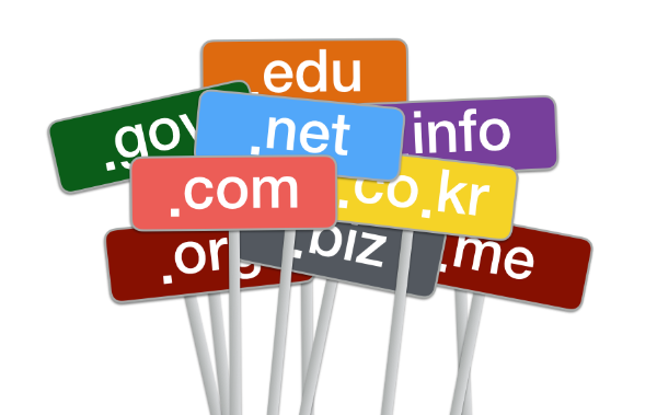 도메인 신청