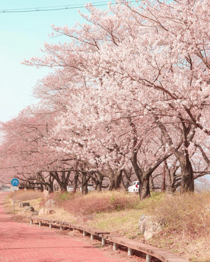 서울 여의도 한강공원