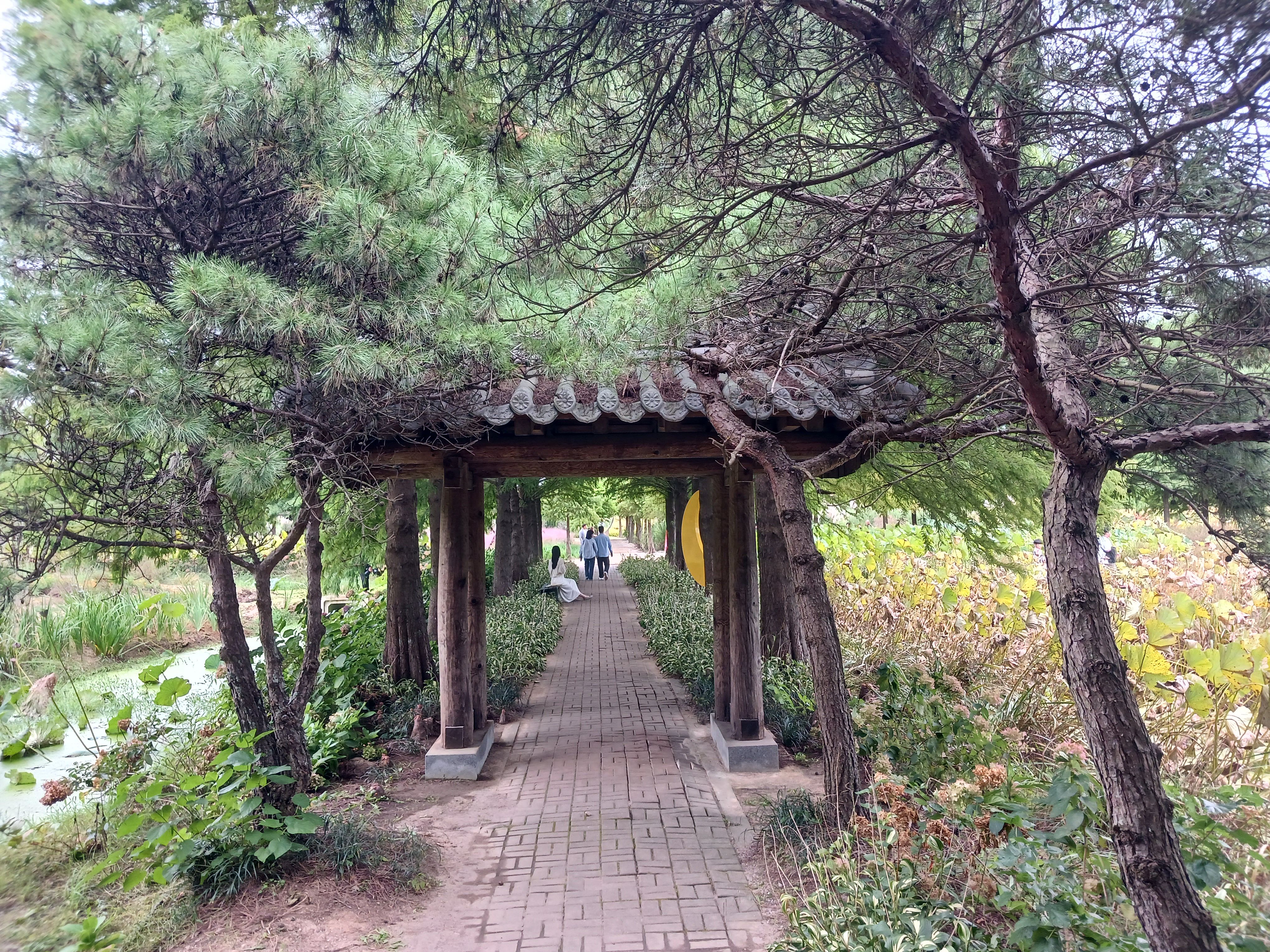 청산수목원