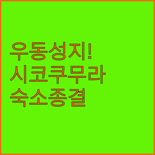 다카마쓰 사누키 우동 미식 여행을 위..