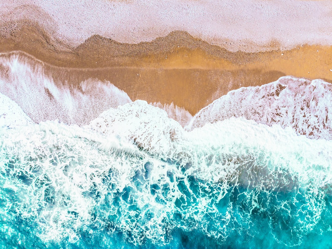 Header