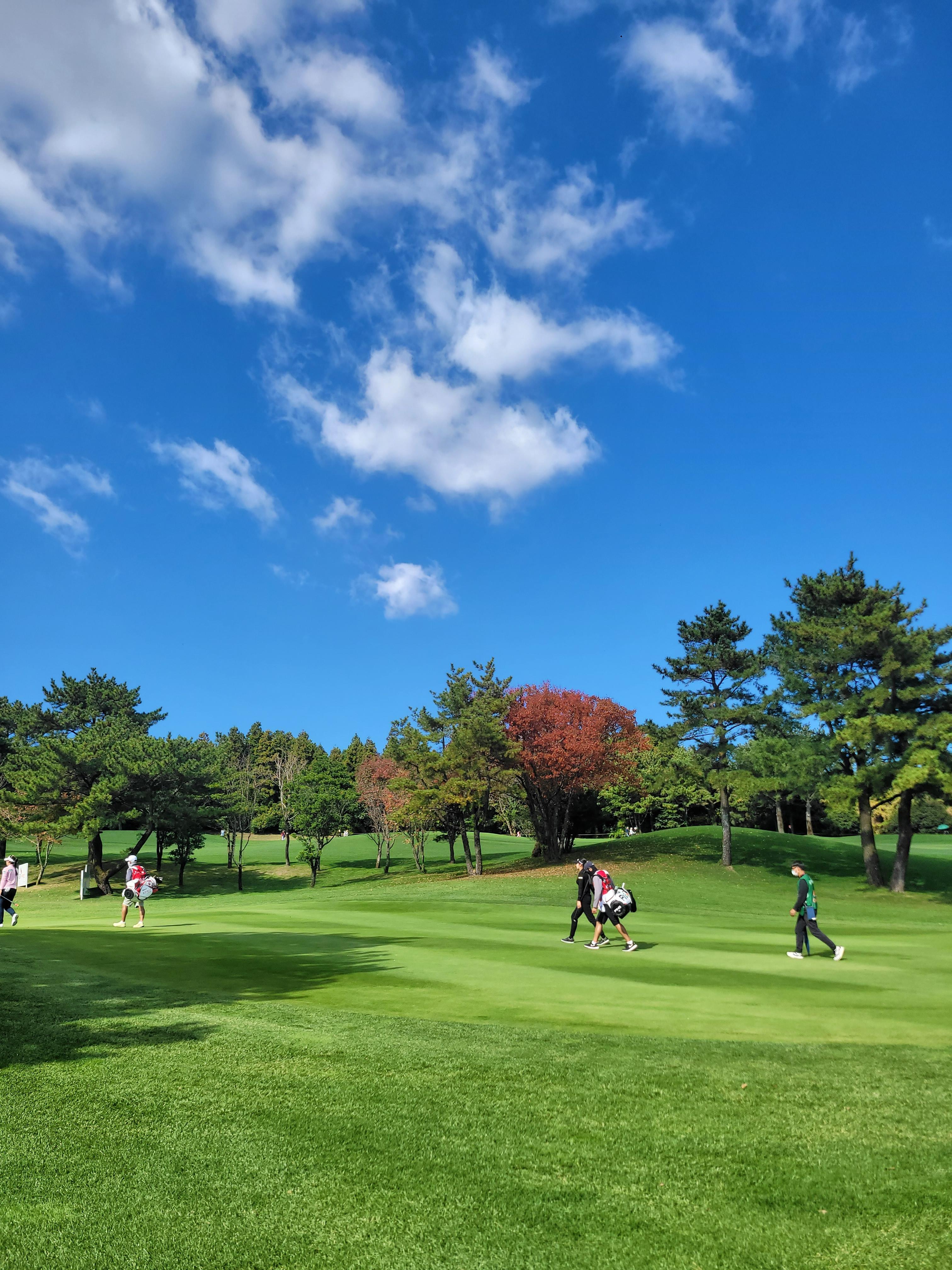 핀크스-klpga-대회5