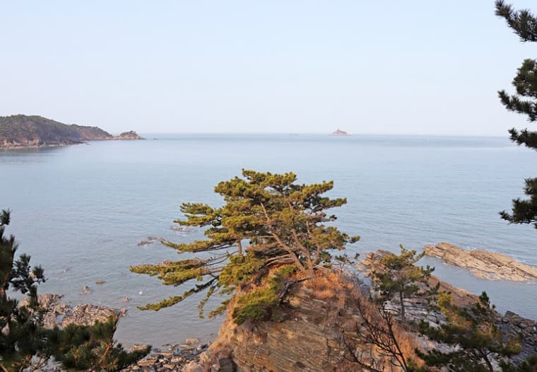 2025 태안 봄꽃정원, 봄날의 낭만을 만나는 곳!!