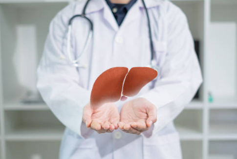 간수치가 높으면 나타나는 증상, 올라가는 이유, 간수치 정상범위 총정리 (2024ver)