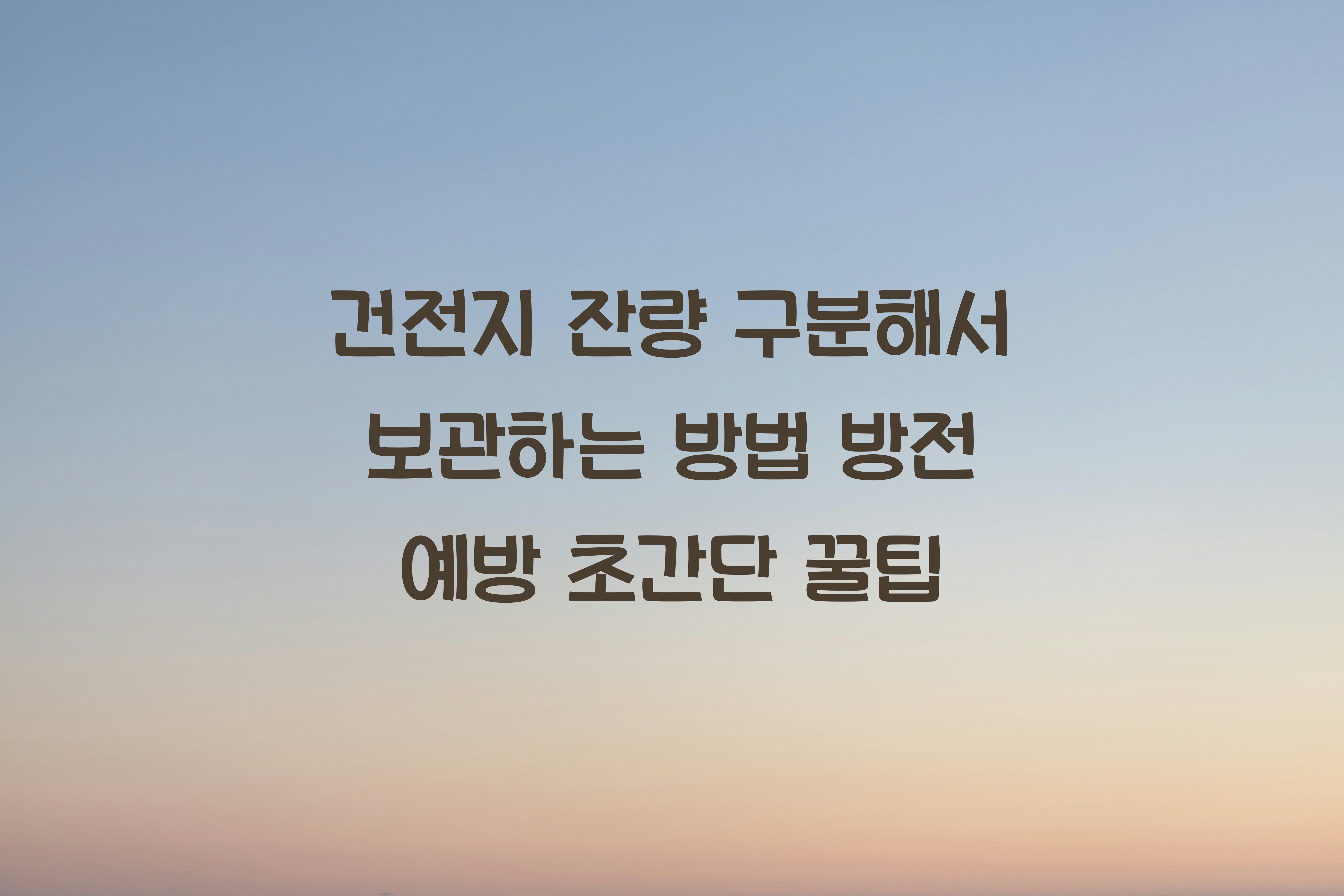 건전지 잔량 구분해서 보관하는 방법
