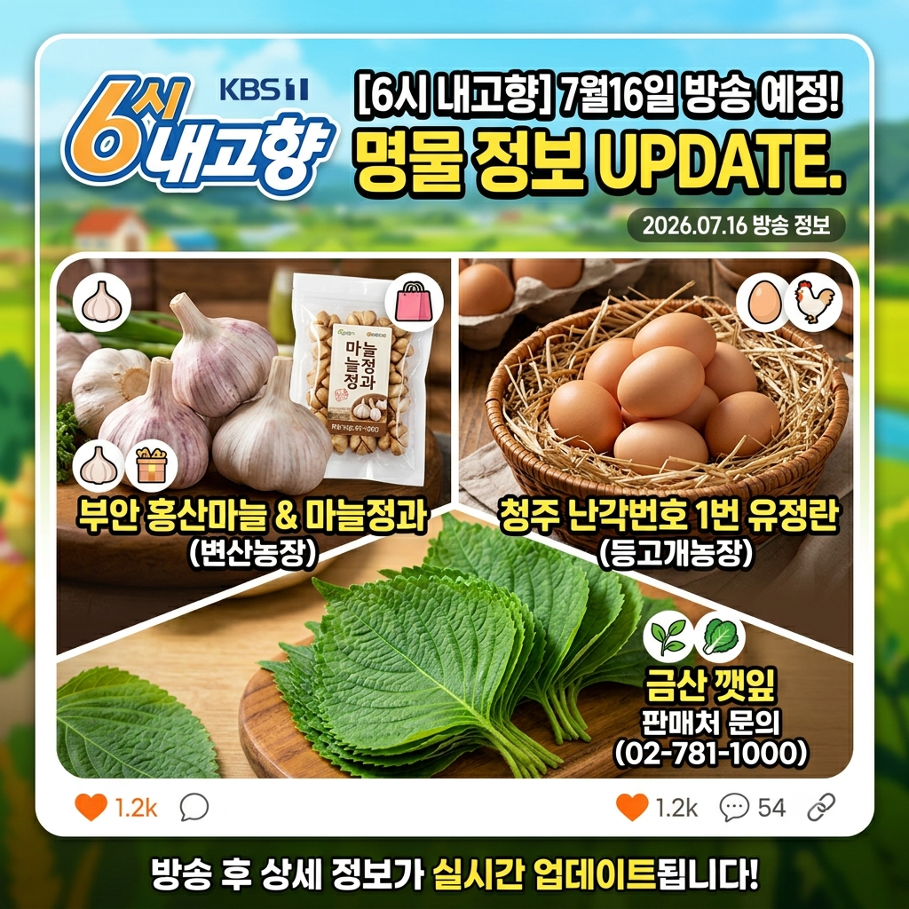 6시 내고향 7월 16일 방송 정보