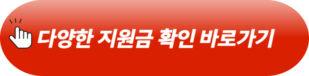 정부지원금