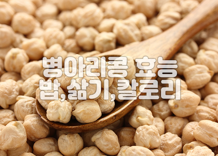 숟가락에 병아리콩이 올려져 있다