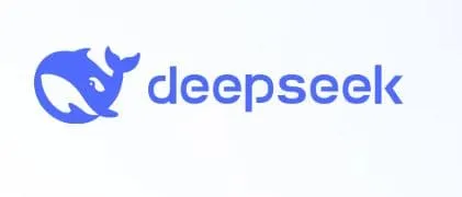 DeepSeek 사용법