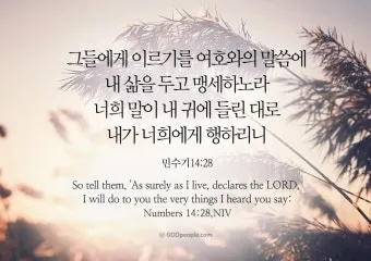 가나안 땅 이스라엘 민수기 13장_2
