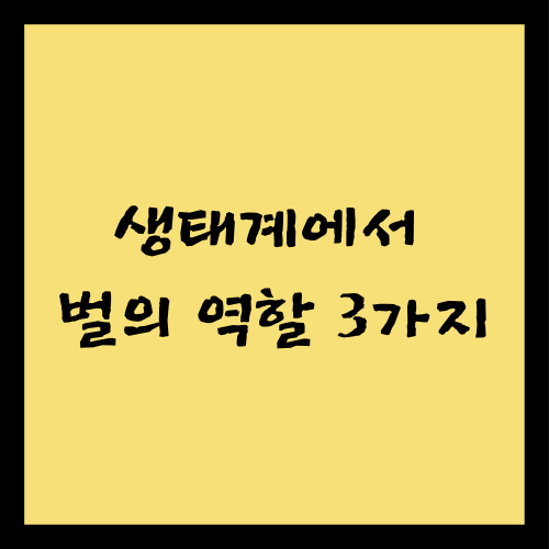 생태계에서 벌의 역할 3가지