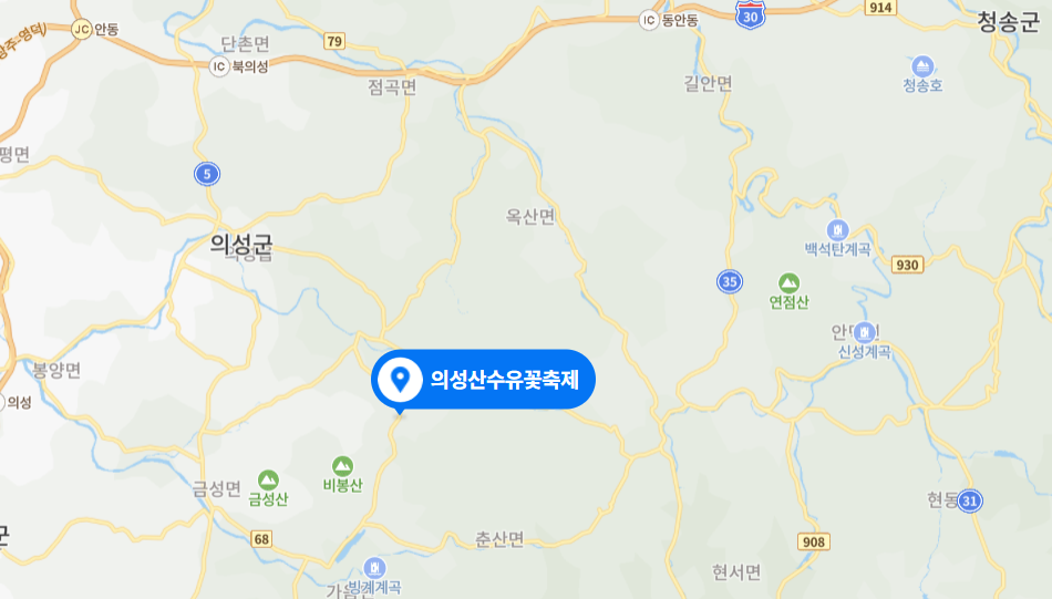 의성 산수유 축제