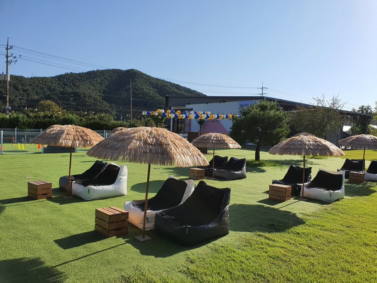 서울·근교 강아지와 함께 갈 수 있는 펫카페 추천 & 방문 꿀팁 총정리