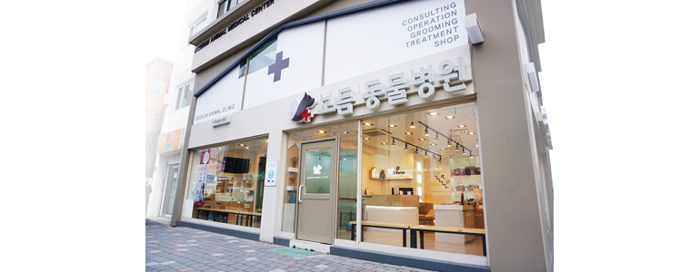 강릉시 동물병원