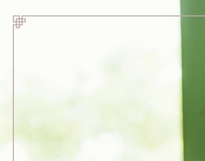 자폐 스펙트럼 장애