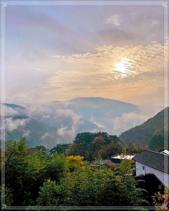 생방송 오늘저녁 경남 산청 지리산 힐링 티테라피 약초차 맛집