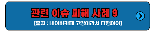 관련 이슈 피해 9