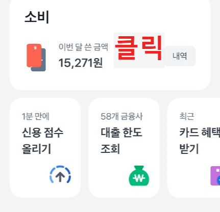  이번 달 쓴 금액을 클릭하면 소비 내역을 항목 별로 볼 수 있어요.
