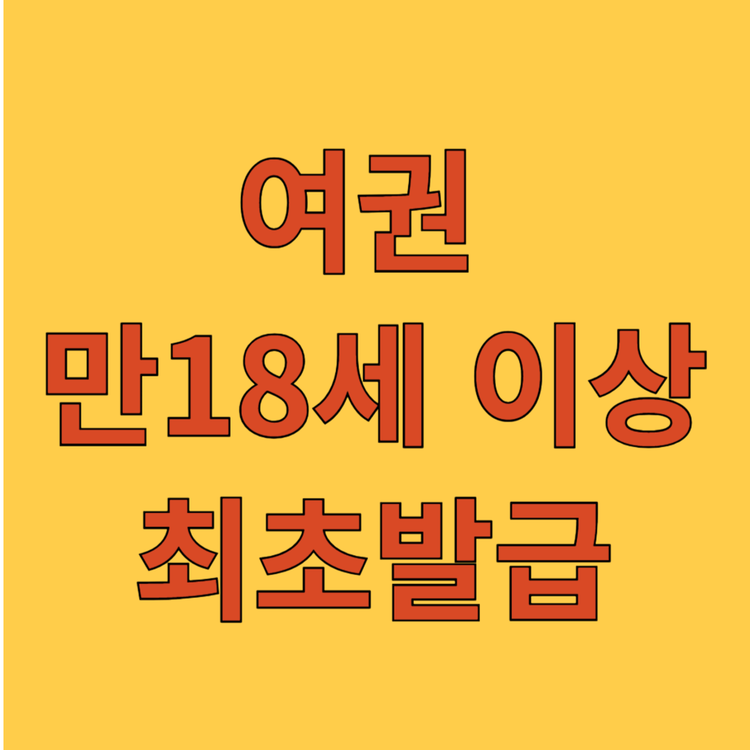 여권 만18세이상 최초발급