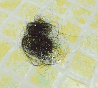 화장실에-머리카락이-한움쿰씩-빠져있어-놀라는-모습