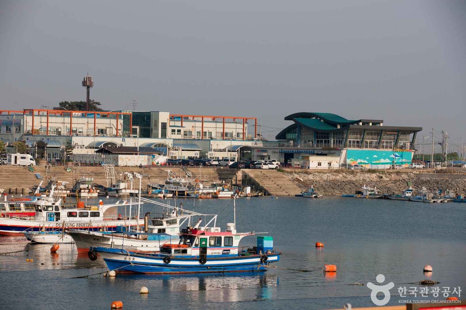 궁평항