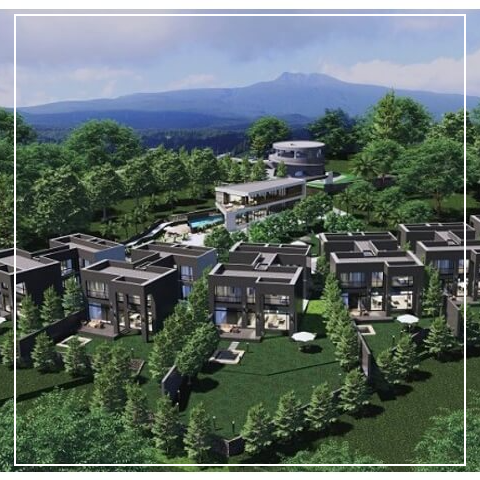 제주도 더 아란치움 고급타운하우스 선착순 분양