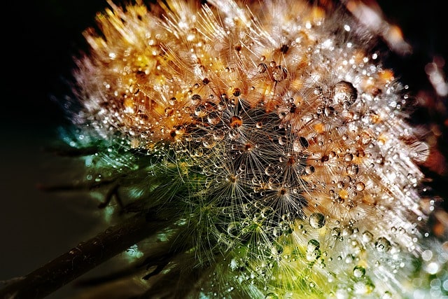 코로나 검사비용 사진