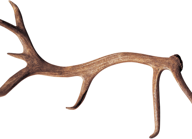 광동 침향환 가격