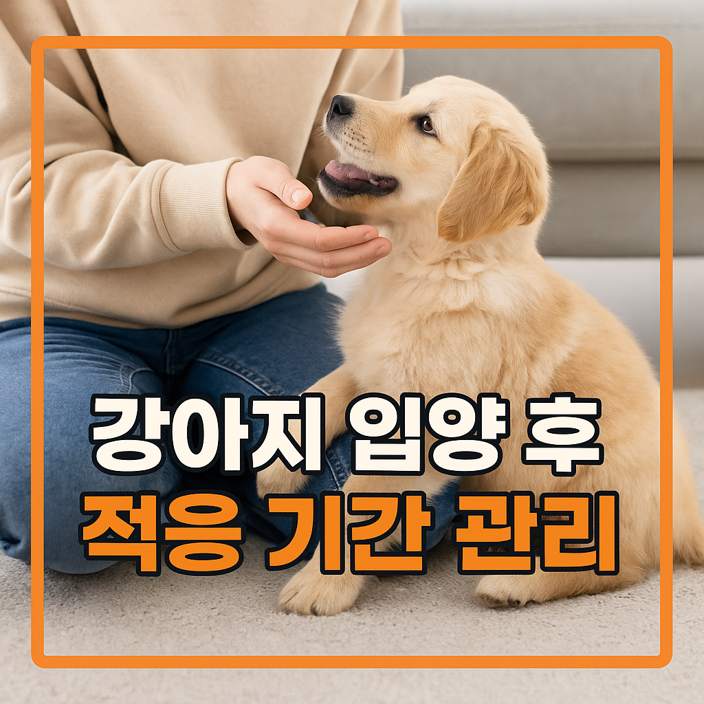 입양 후 적응 기간 관리