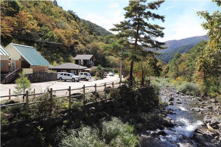 평창 두타산 자연휴양림 주변 맛집 카페 마트 전통시장 특산물 강아지 동반 정보