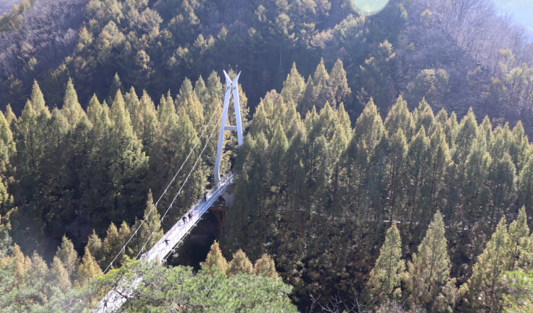 장태산 자연휴양림