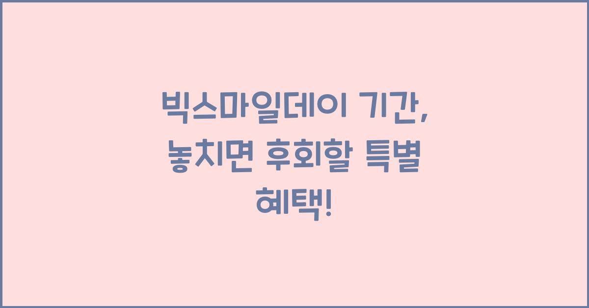빅스마일데이 기간