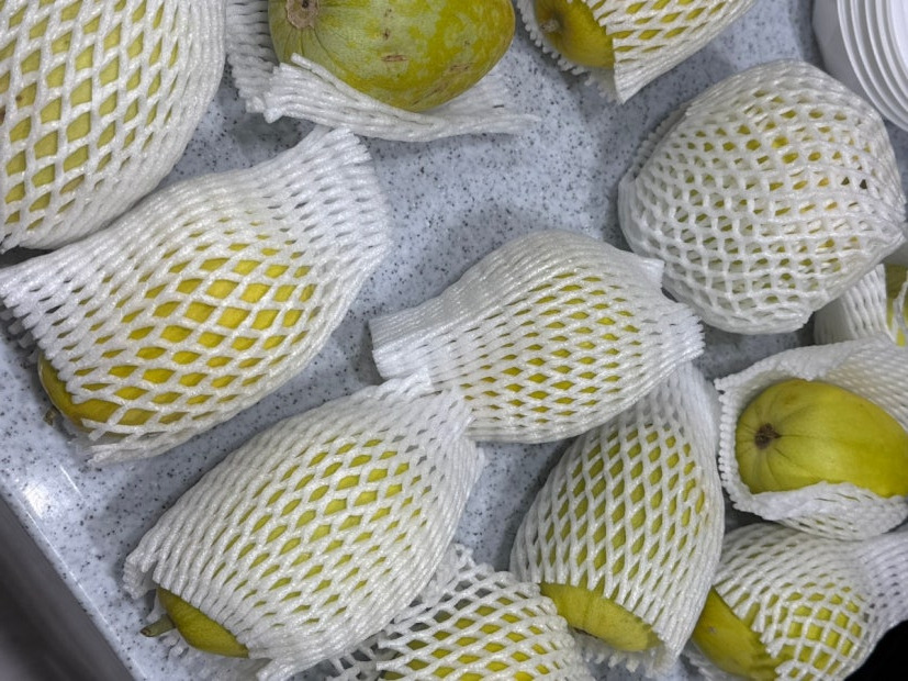 냉부해 입짦은햇님 망고참외 가격 판매하는 곳