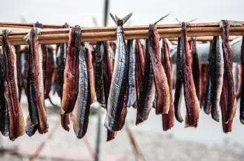 과메기 가격 및 효능&amp;#44; 영양성분과 주의점