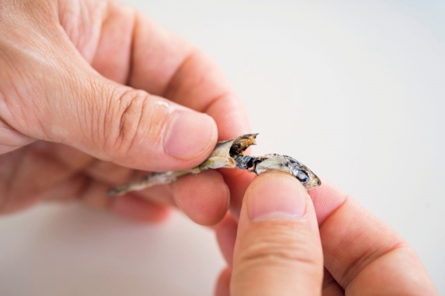 다시마 육수 만드는 법, 멸치 다시마 육수내기, 육수내고 건진 다시마, 다시마 우린물 효능, 생활 팁줌 매일꿀정보