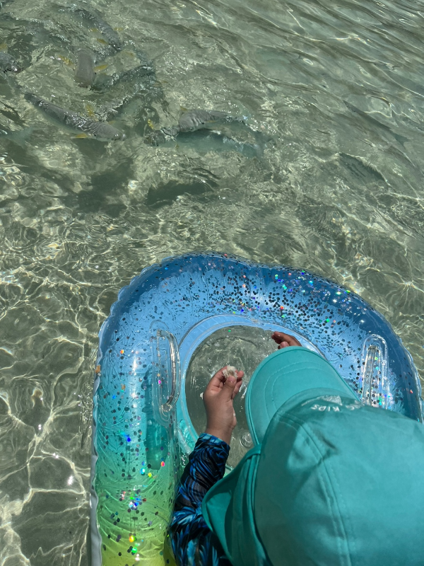 사이판 마나가하섬 해변 투명보트타고 물고기 관찰