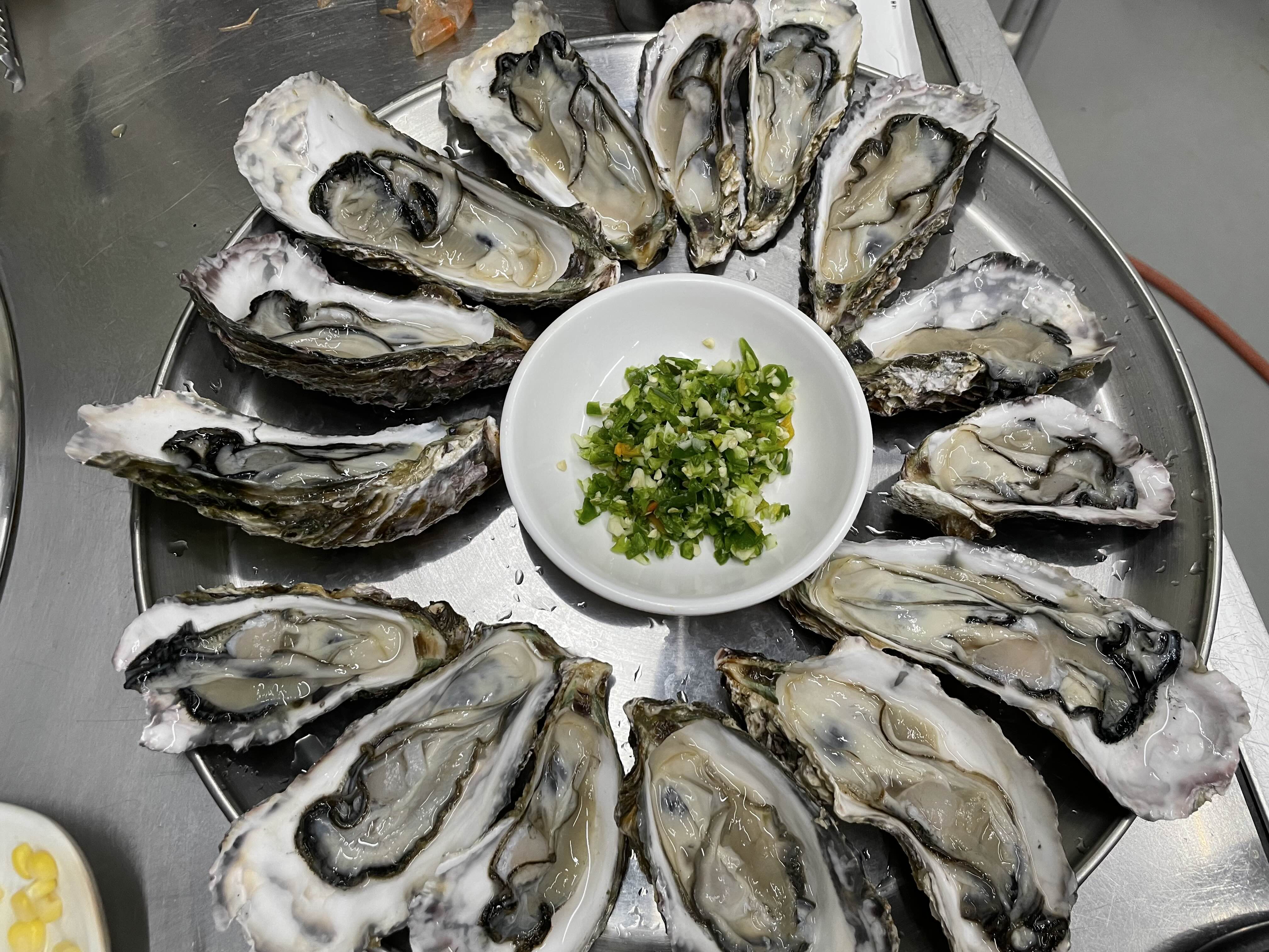 키조개와 굴