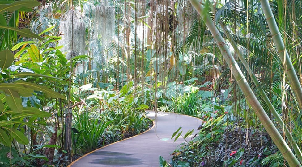 겨울 실내 수목원 추천: 서울식물원과 경주 동궁원