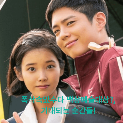 폭삭속았수다 백상예술대상, 기대되는 순간들!