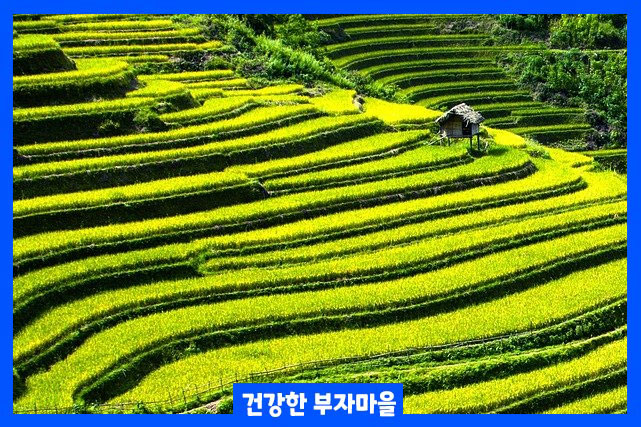 녹색 환경에 놓인 사람들이 더 높은 집중을 보였습니다.