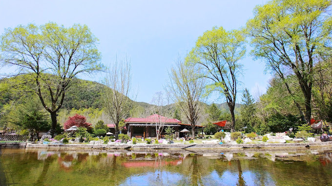 강원도 평창 송어집 '송어의집'