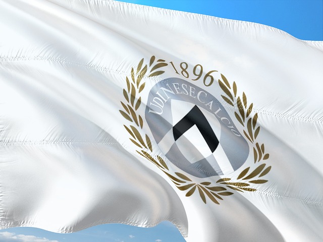 우디네세 칼초 엠블럼 사진