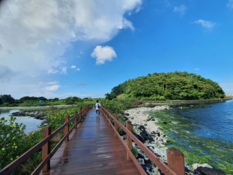 8월에 가볼만한 국내여행지