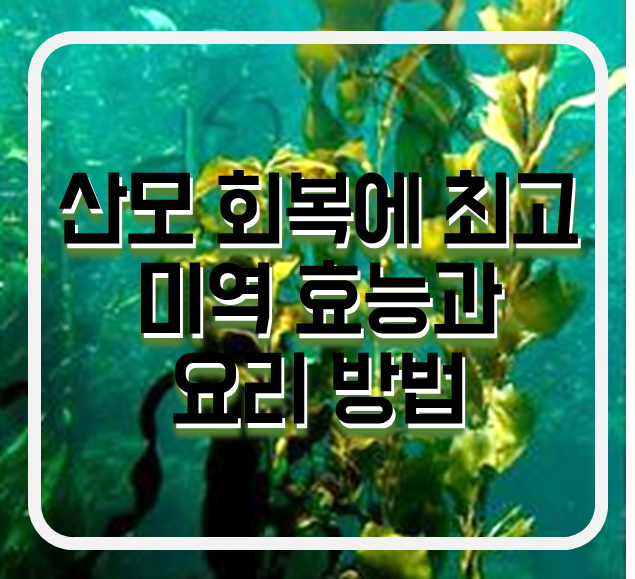 미역의 효능과 요리방법