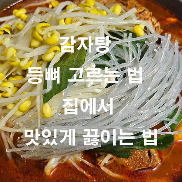 감자탕 등뼈 고르는 법 집에서 맛있게 끓이는 법