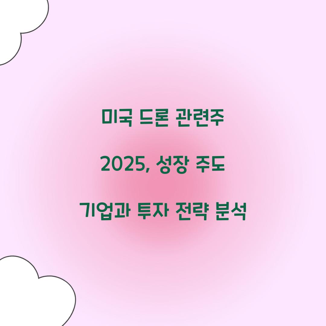 미국 드론 관련주 2025
